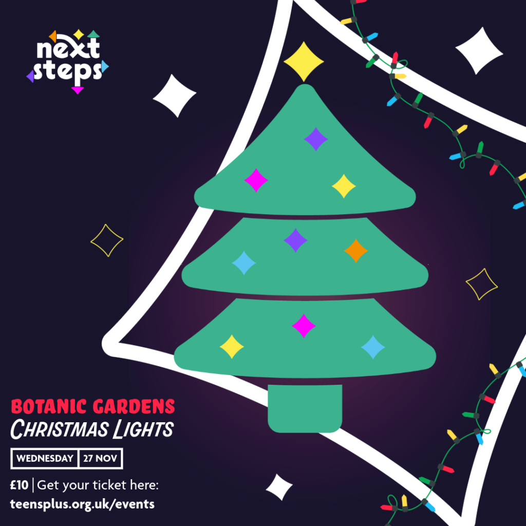 Next Steps are excited to invite you to a magical evening to see the Royal Botanic Garden’s Christmas Lights!